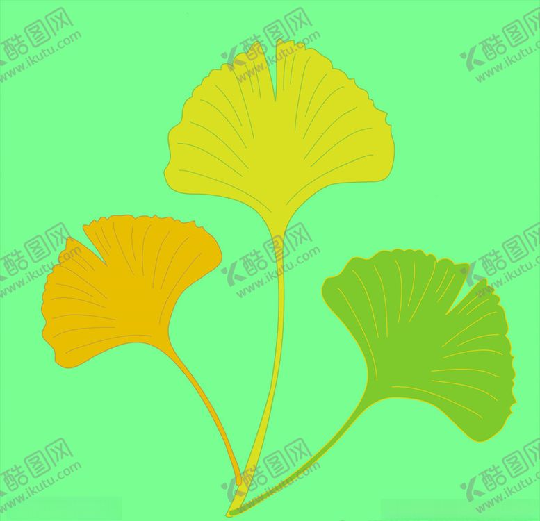 编号：20031506161337536514【酷图网】源文件下载-树叶