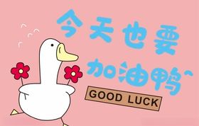 鸭子上柒