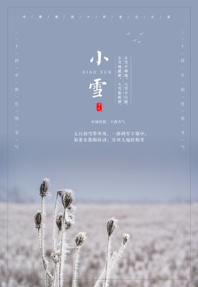 24节气 小雪海报