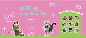 毛孩子上墙计划