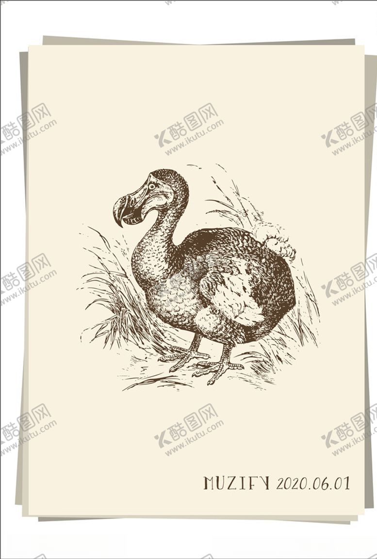 编号：50948910292034106873【酷图网】源文件下载-大嘴鸟素描画