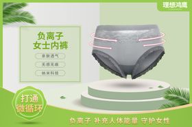 理想鸿鹰标志理想鸿鹰产品