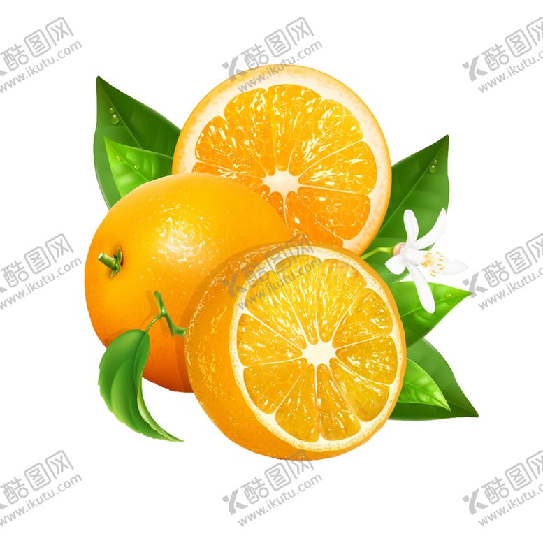 编号：99648907140052196245【酷图网】源文件下载-水果