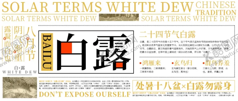 编号：42245307010235391591【酷图网】源文件下载-白露海报