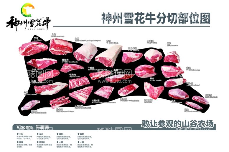 编号：49556601202325201071【酷图网】源文件下载-神州雪花牛分切部位图