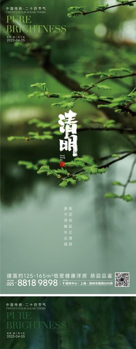 清明节气海报