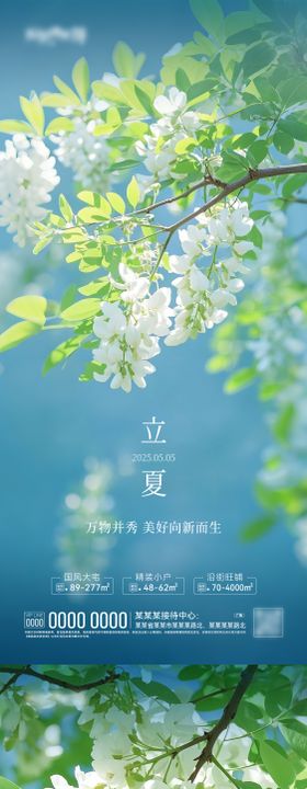 简约立夏海报