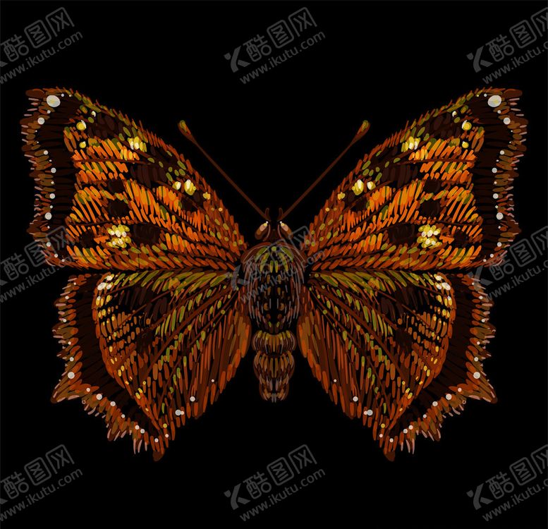 编号：75995410170509248342【酷图网】源文件下载-蝴蝶插画