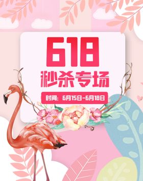 618秒杀专场