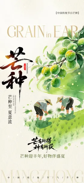 芒种