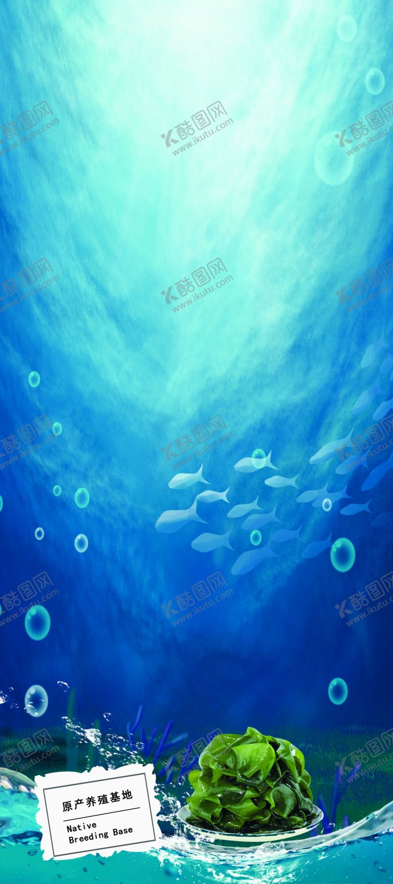 编号：50112009210913153693【酷图网】源文件下载-海底背景