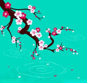 樱花