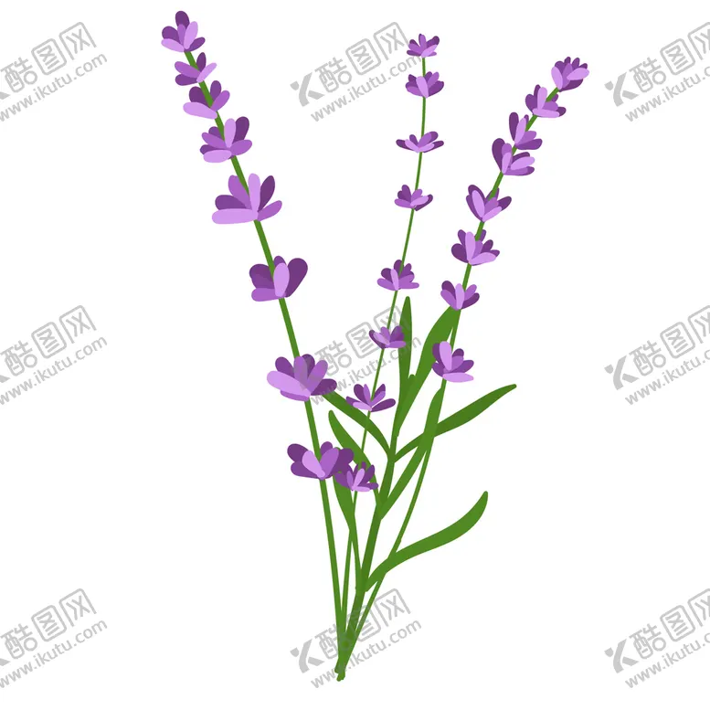 编号：54207810121112562680【酷图网】源文件下载-卡通薰衣草