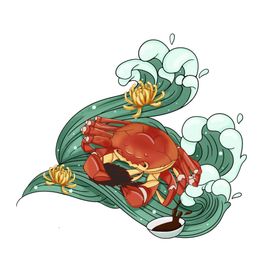 菊花素材