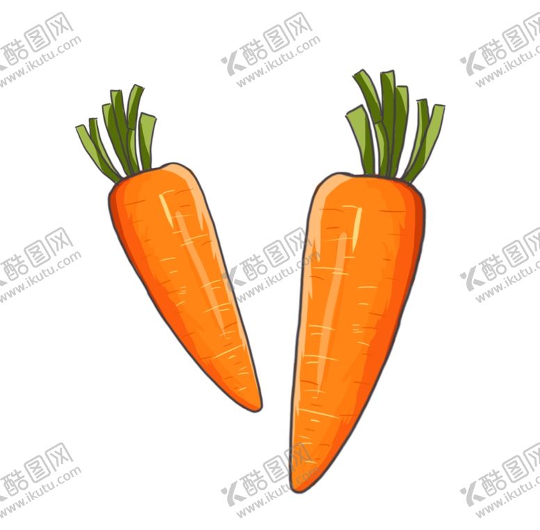 编号：78542302080800338278【酷图网】源文件下载-新鲜胡萝卜手绘