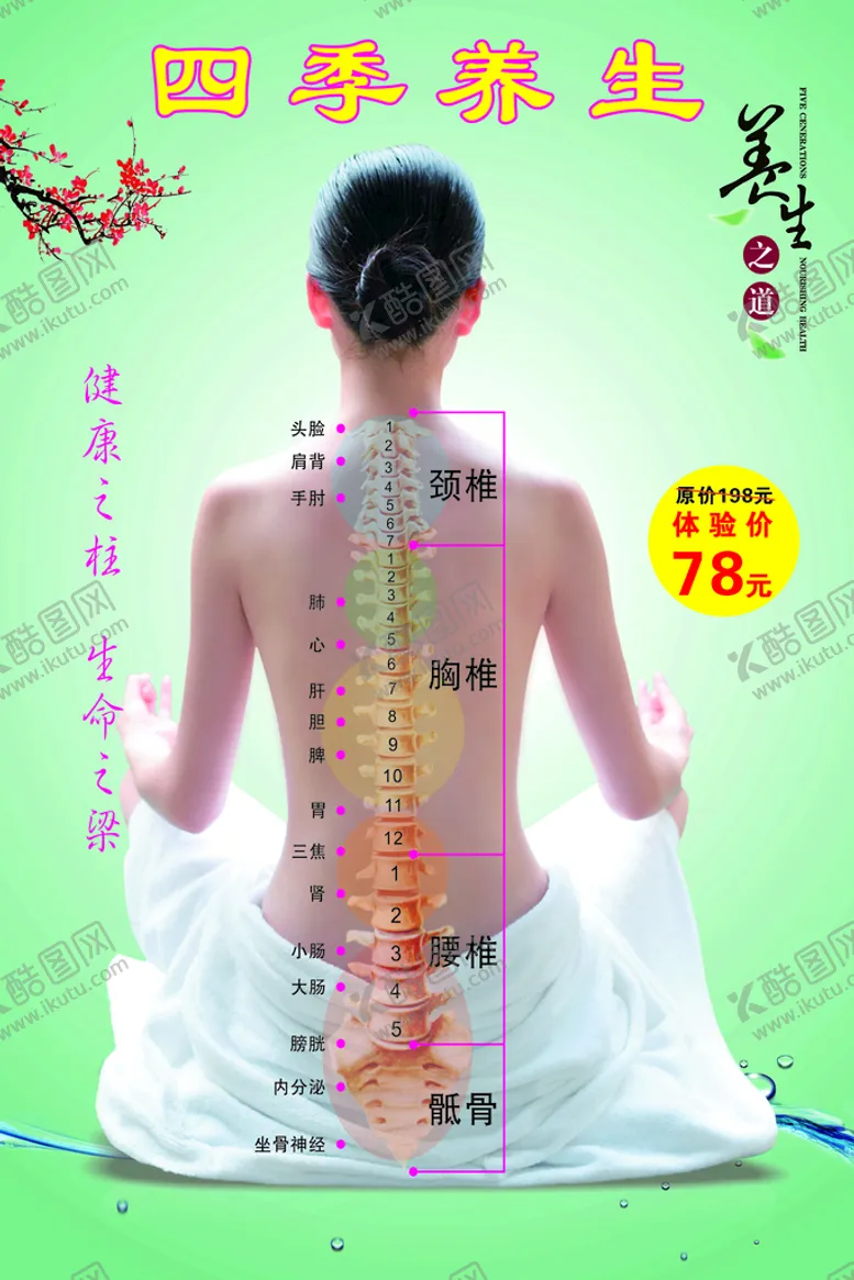 编号：47729501310357279380【酷图网】源文件下载-养生海报
