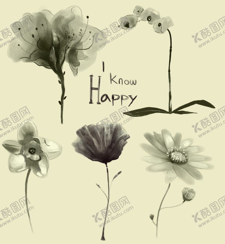 编号：52580910011438152682【酷图网】源文件下载-手绘花卉
