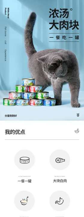 猫用品猫粮宠物场景动物搭建详情页