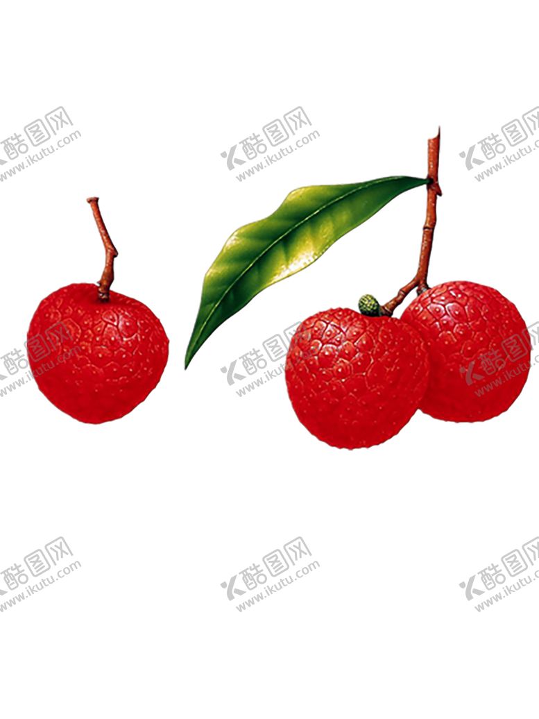 编号：31618109100219402774【酷图网】源文件下载-水果
