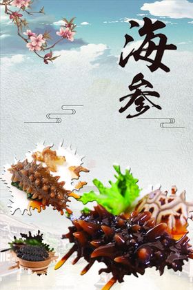 海参海报