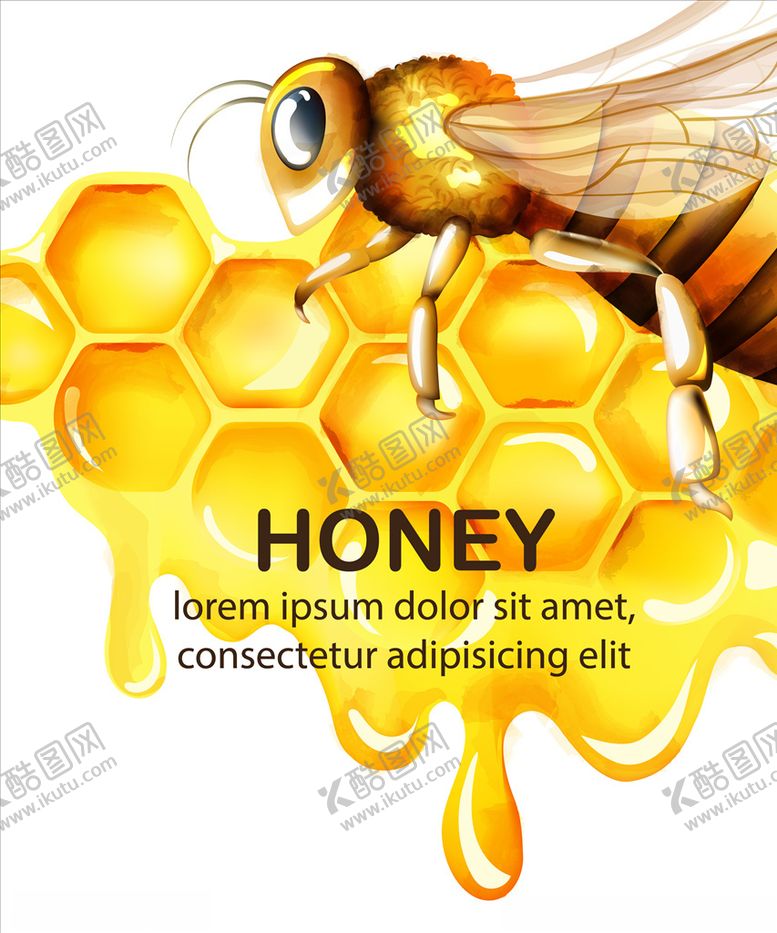 编号：97610809281401575739【酷图网】源文件下载-蜜蜂蜂蜜