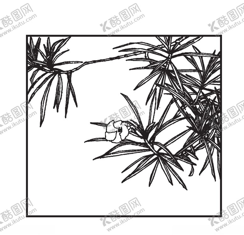 编号：32388910272126357133【酷图网】源文件下载-黄夹竹桃