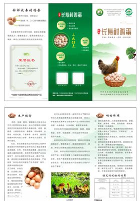长寿村富硒鸡蛋三折页