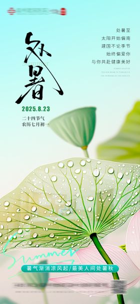 处暑二十四节气医疗 