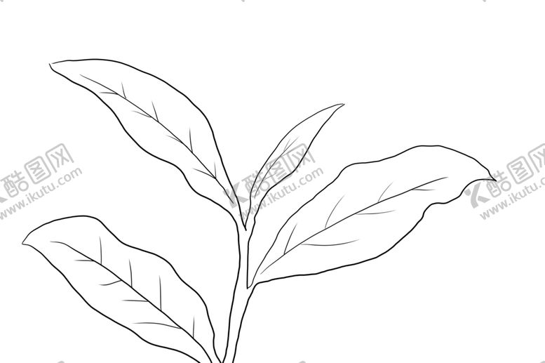 编号：33235710110521426006【酷图网】源文件下载-茶叶