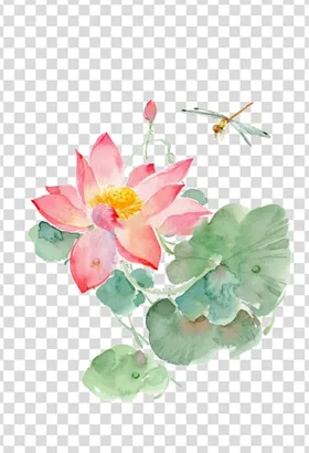 荷花莲花中国元素夏天古典