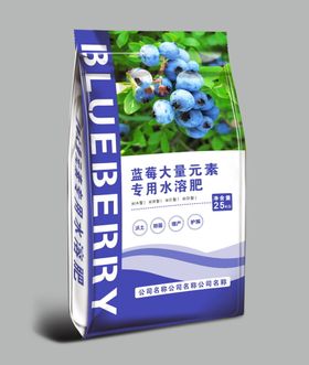 干货香菇包装效果图和平面图 