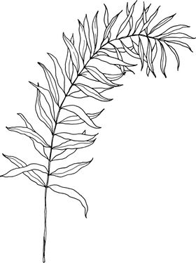 植物花朵装饰图案