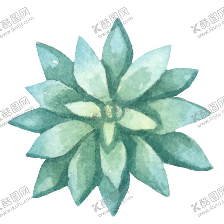 编号：68088609220004316339【酷图网】源文件下载-手绘植物