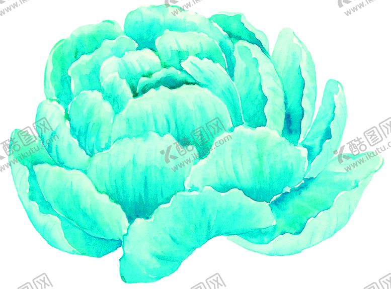 编号：25169309241930045818【酷图网】源文件下载-花素材