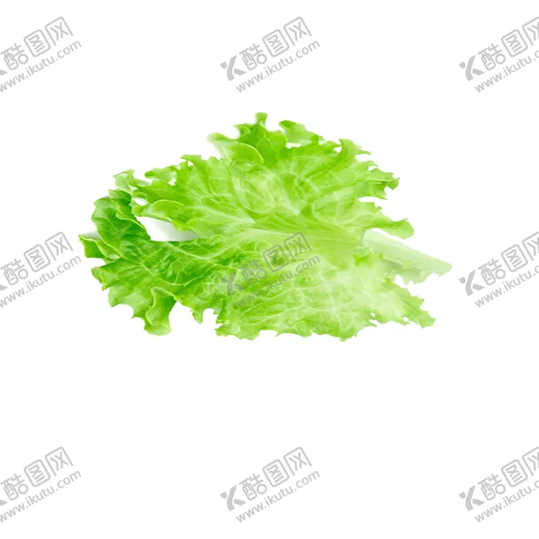 编号：62712801281658473979【酷图网】源文件下载-生菜