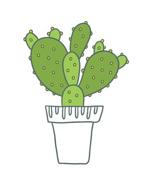 植物