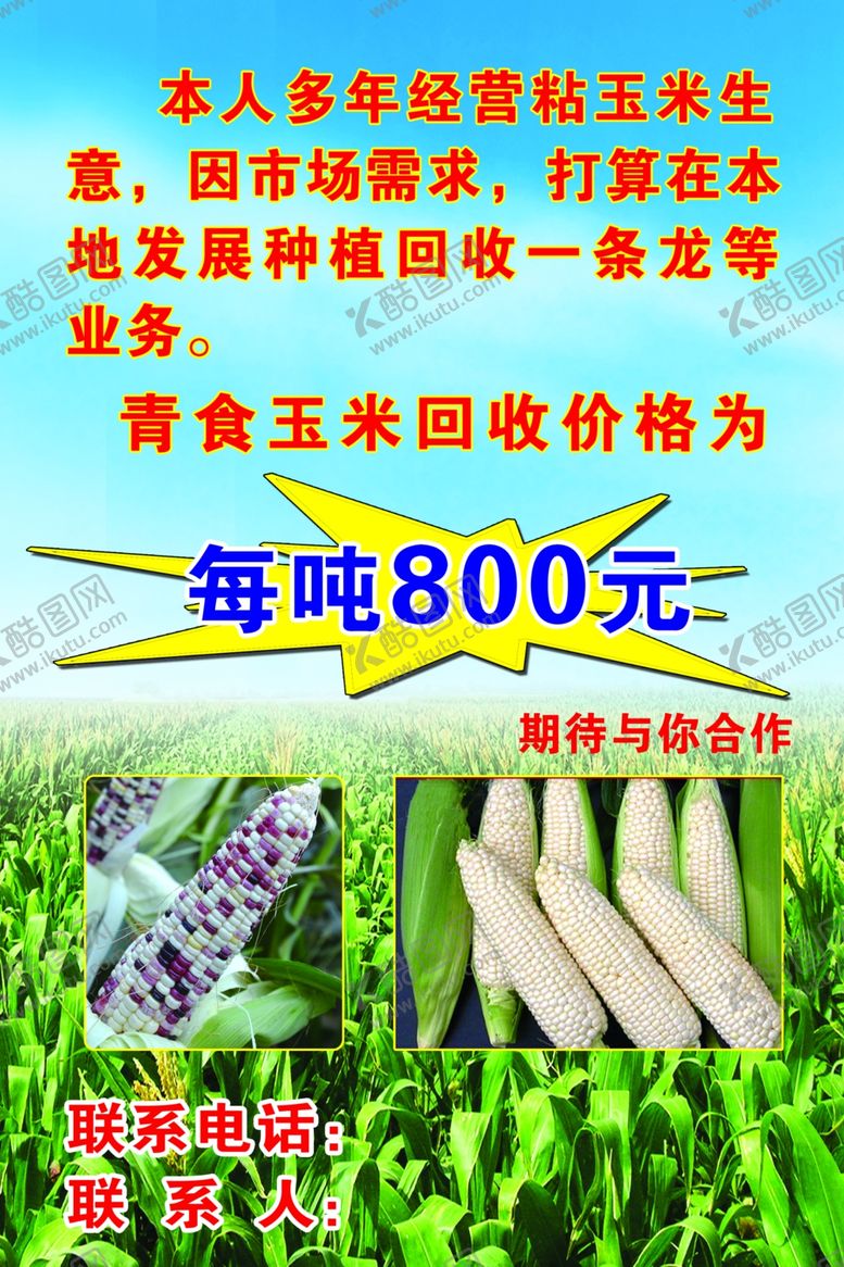 编号：23294004280222178178【酷图网】源文件下载-玉米地海报