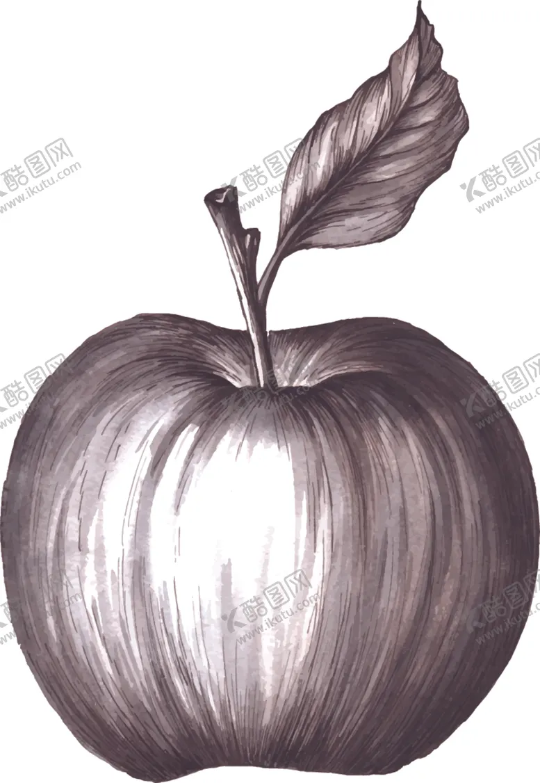 编号：88422310112116318736【酷图网】源文件下载-矢量果蔬素材