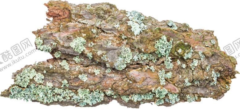 编号：89641510010549468675【酷图网】源文件下载-树皮