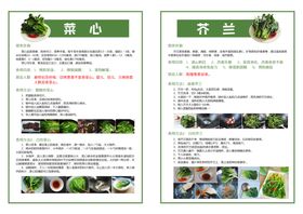 蔬菜简介