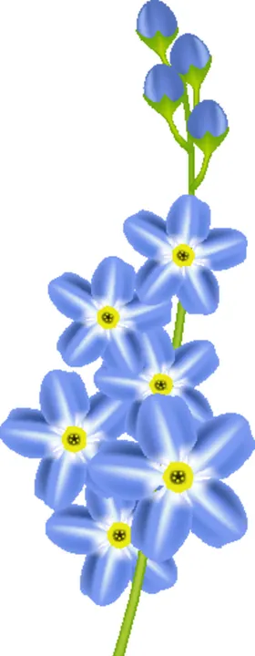 写实花卉朵大自然漂亮