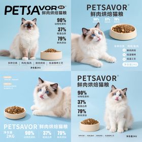 布偶猫