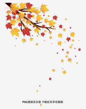 飘落秋叶