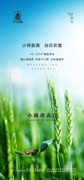 小满遇520海报