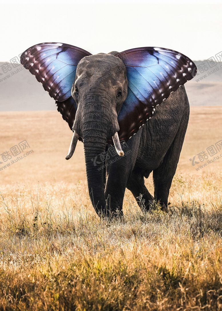 编号：82449309240448093574【酷图网】源文件下载-创意组合动物简约装饰画