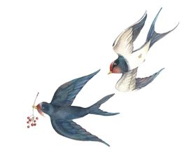 燕子素材