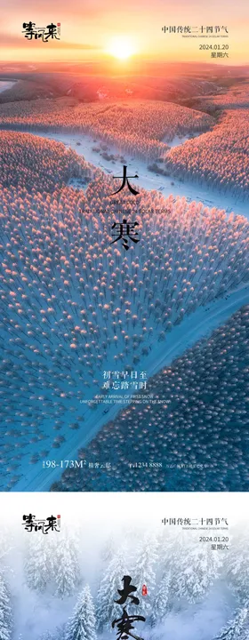 地产大寒海报二十四节气简约气