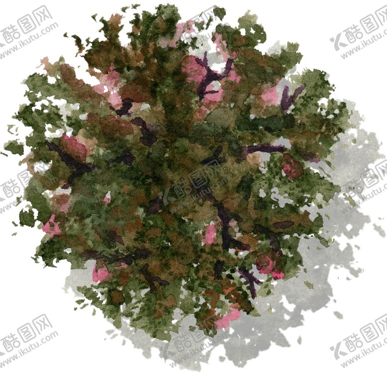 编号：65623504301044003179【酷图网】源文件下载-手绘植物
