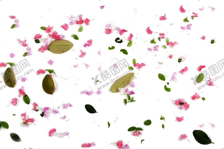 编号：15647007061521185998【酷图网】源文件下载-绿色背景