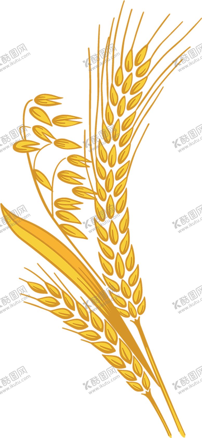 编号：61008209150958507521【酷图网】源文件下载-透明小麦png素材